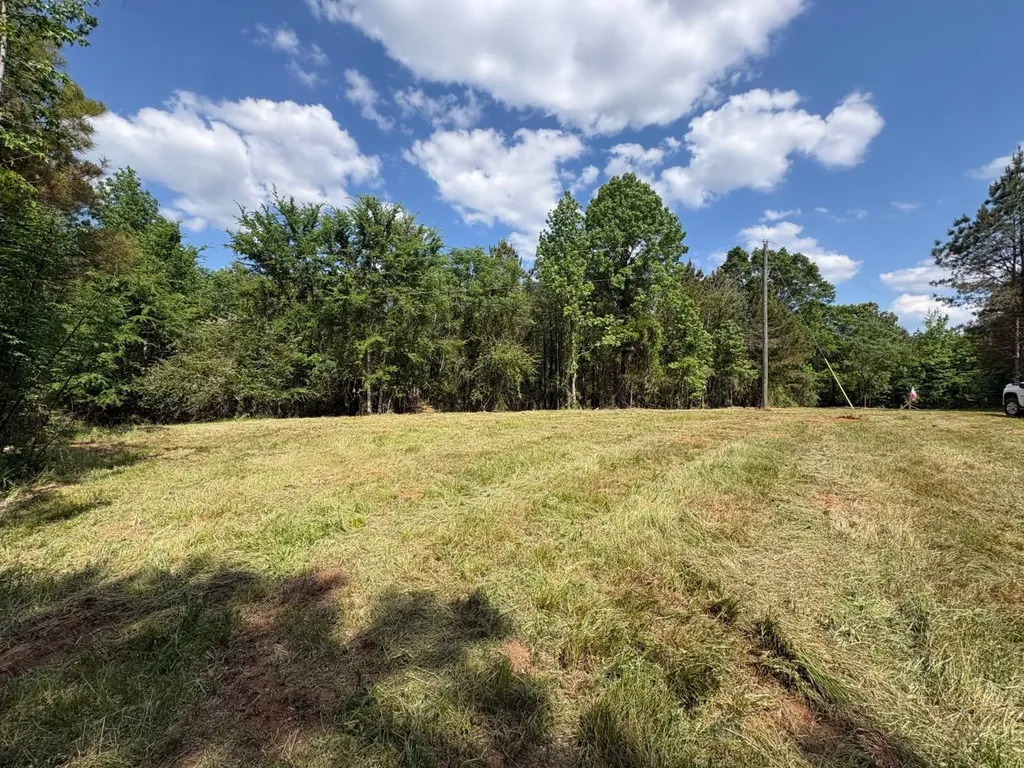 5291 Cr-51 Greensboro AL 36744