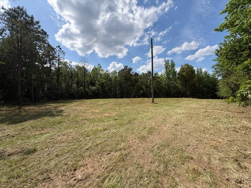 5291 Cr-51 Greensboro AL 36744