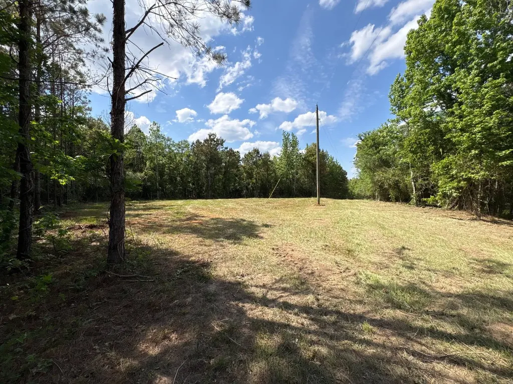 5291 Cr-51 Greensboro AL 36744