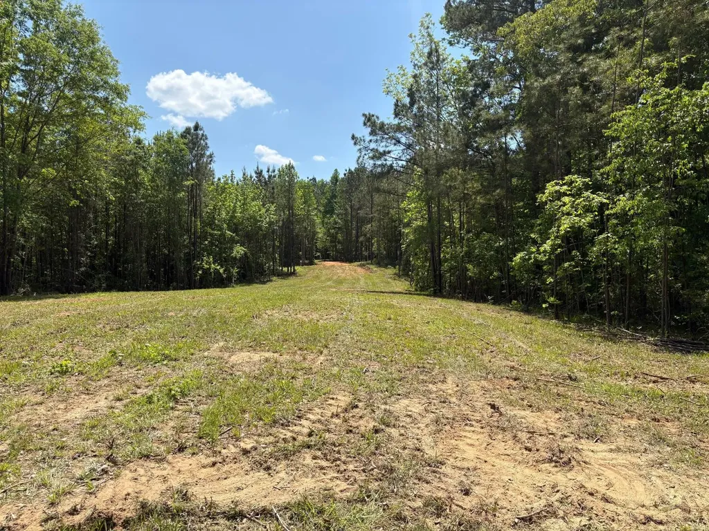 5291 Cr-51 Greensboro AL 36744