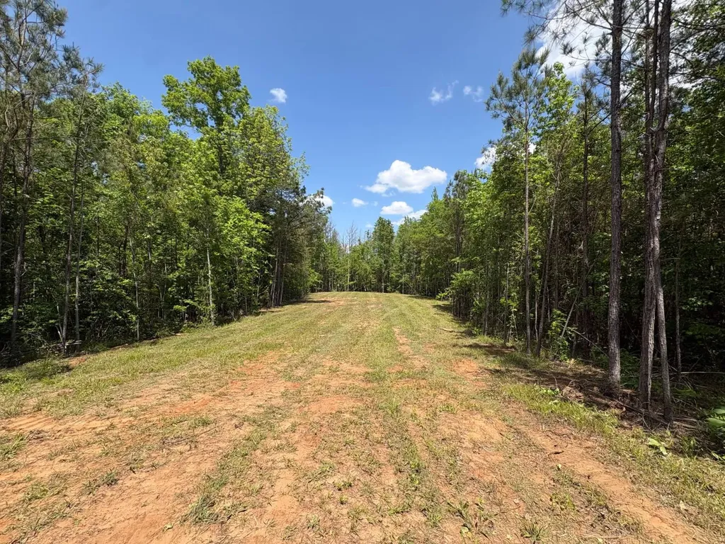 5291 Cr-51 Greensboro AL 36744
