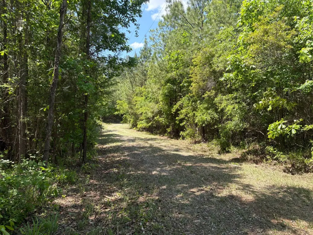 5291 Cr-51 Greensboro AL 36744