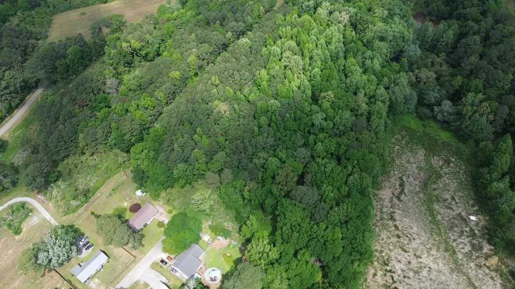 0 Piney Point Drive Cullman AL 35055