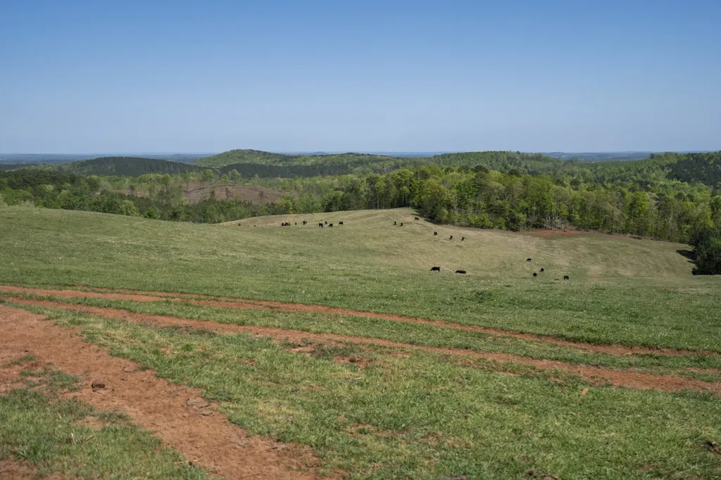 130 Kelly Road Ashland AL 36251