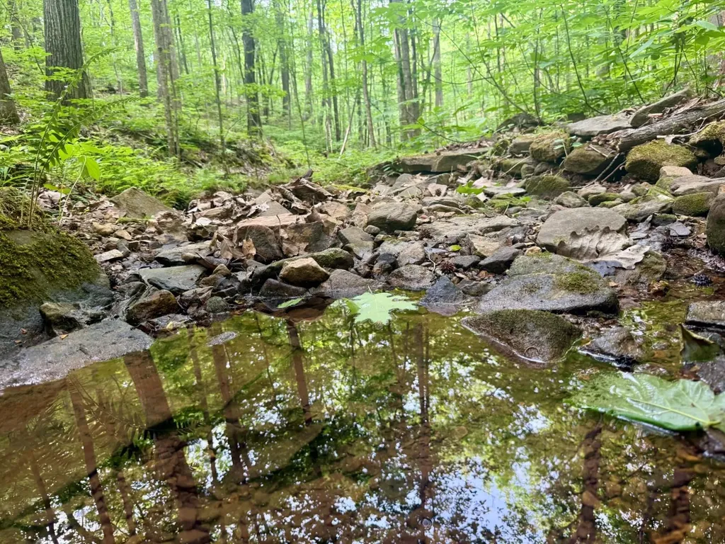 0 Miles Springs Road Pinson AL 35126