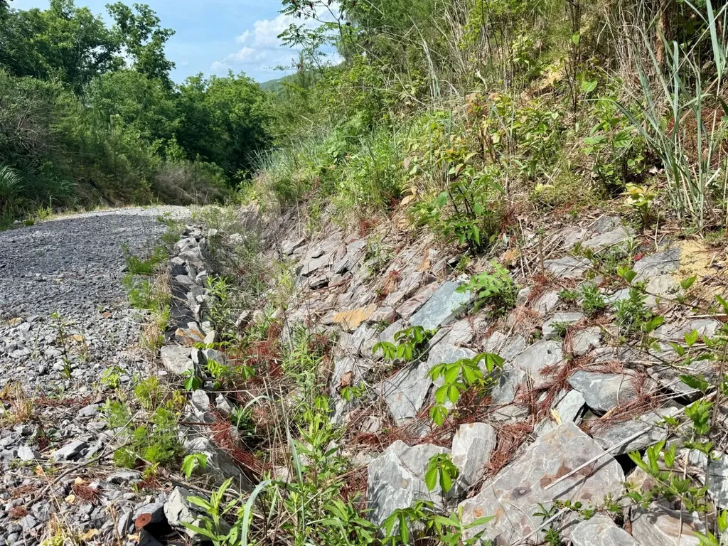 0 Miles Springs Road Pinson AL 35126