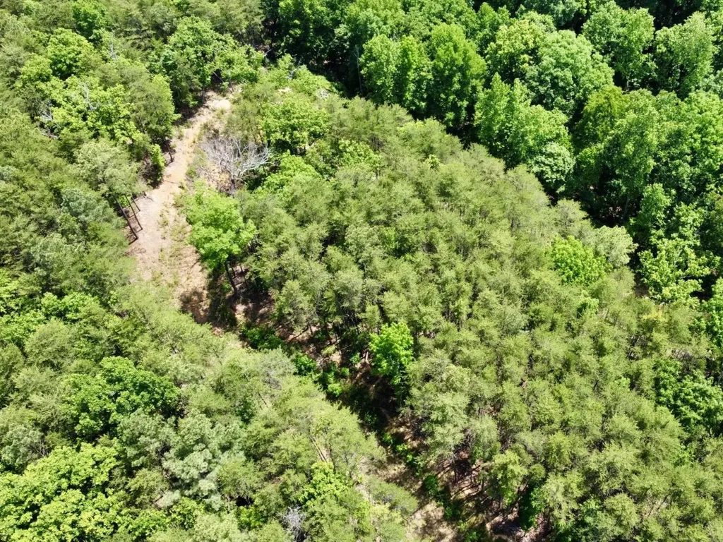 0 Miles Springs Road Pinson AL 35126