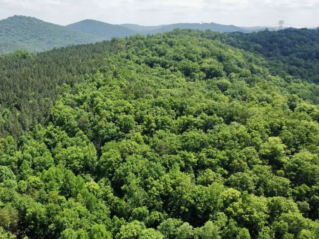 0 Miles Springs Road Pinson AL 35126