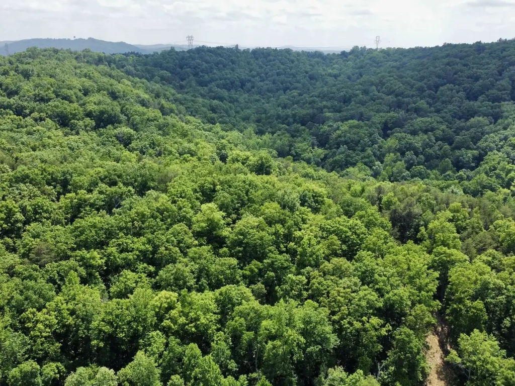 0 Miles Springs Road Pinson AL 35126