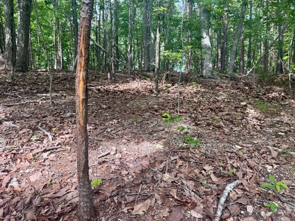 0 Miles Springs Road Pinson AL 35126