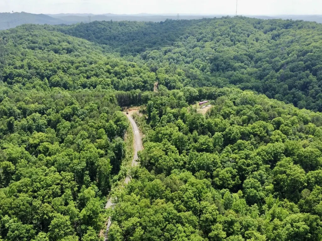 0 Miles Springs Road Pinson AL 35126
