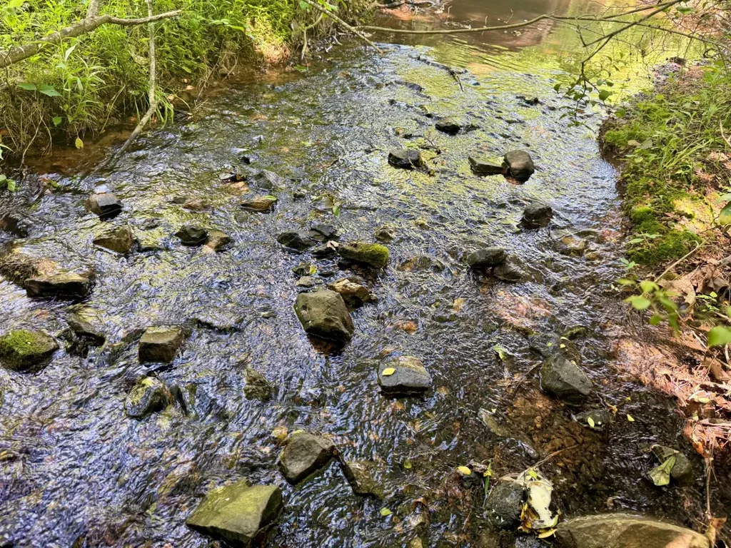 0 Miles Springs Road Pinson AL 35126