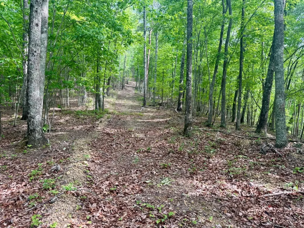 0 Miles Springs Road Pinson AL 35126