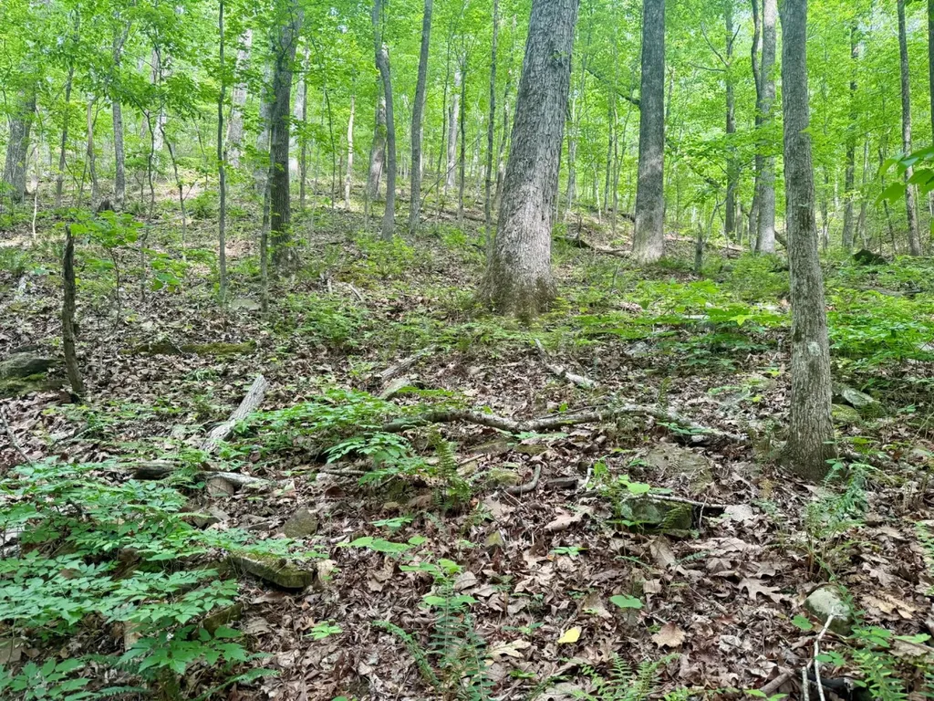 0 Miles Springs Road Pinson AL 35126