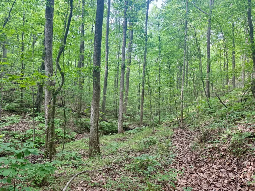 0 Miles Springs Road Pinson AL 35126
