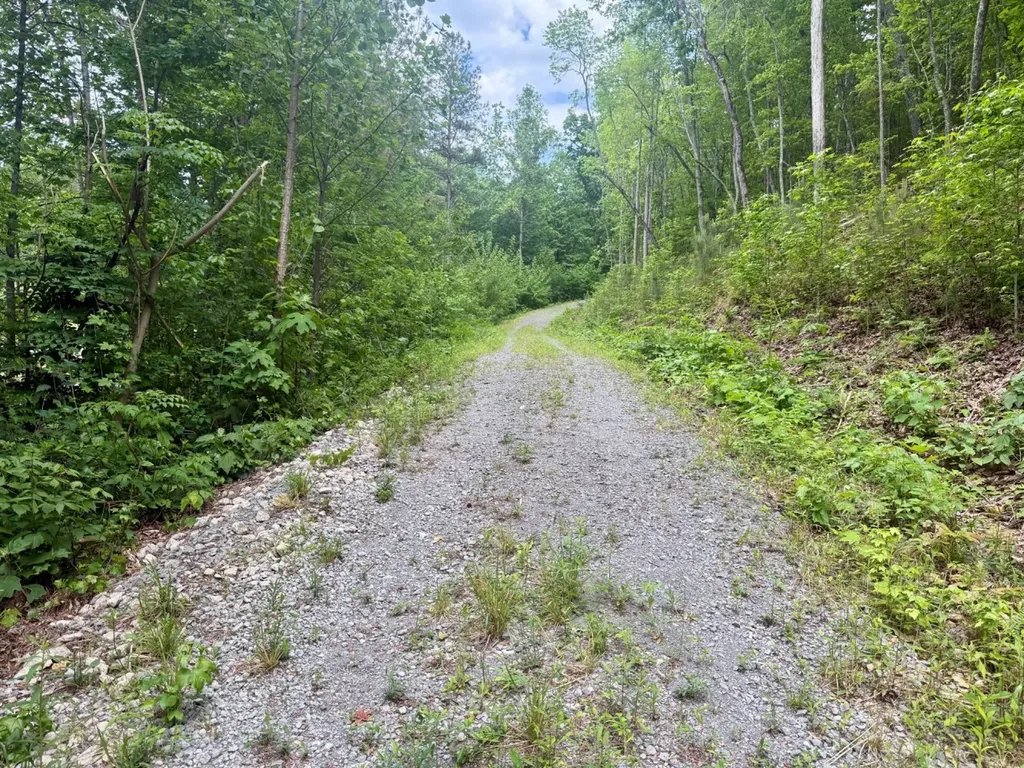 0 Miles Springs Road Pinson AL 35126