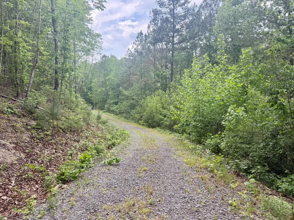 0 Miles Springs Road Pinson AL 35126