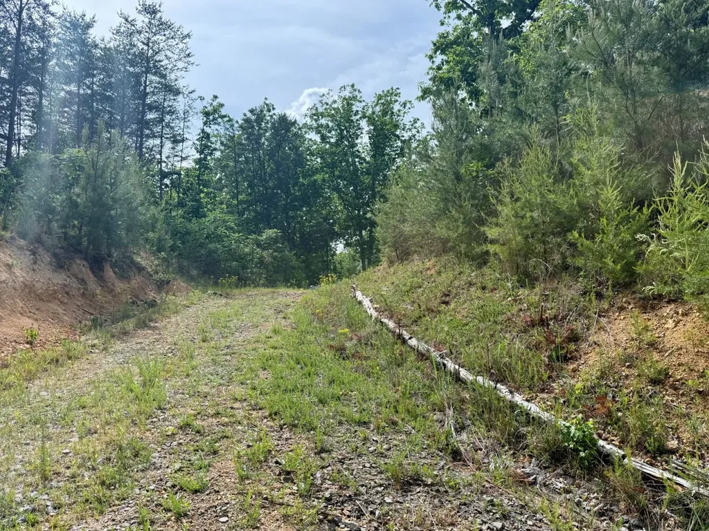 0 Miles Springs Road Pinson AL 35126
