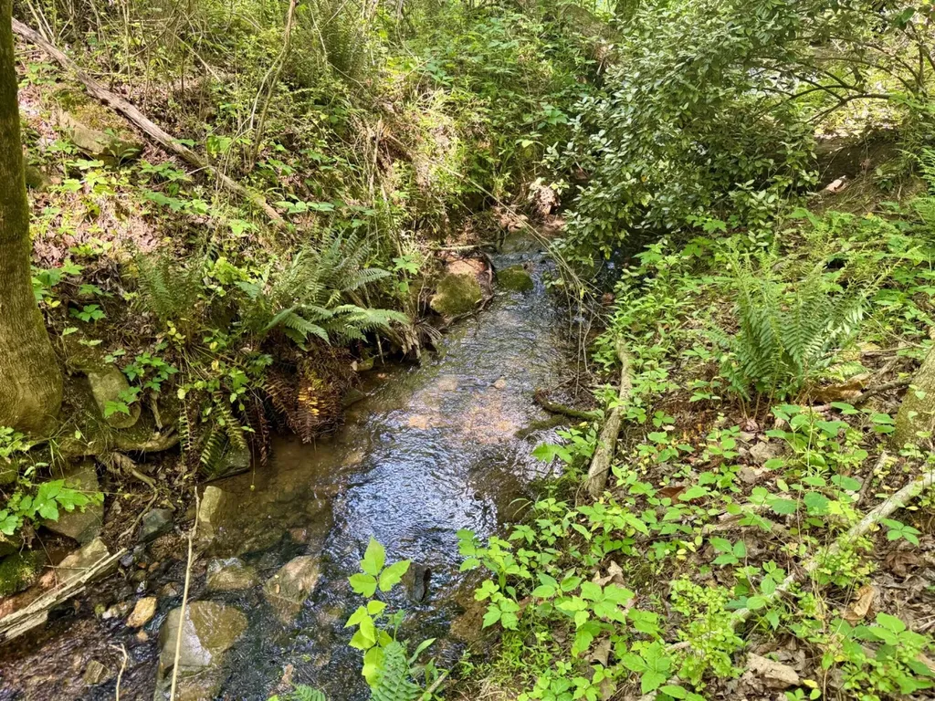 0 Miles Springs Road Pinson AL 35126