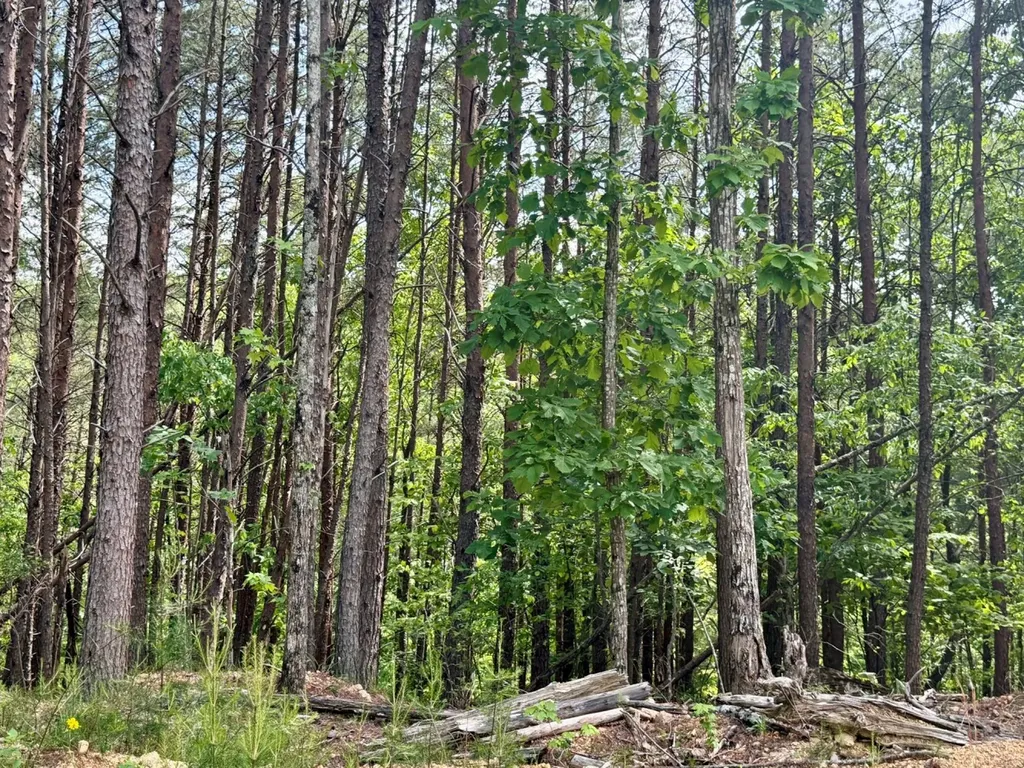 0 Miles Springs Road Pinson AL 35126