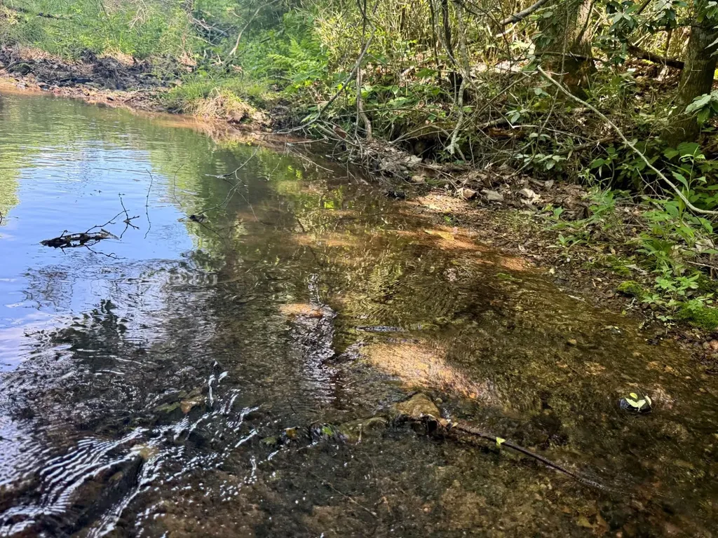 0 Miles Springs Road Pinson AL 35126