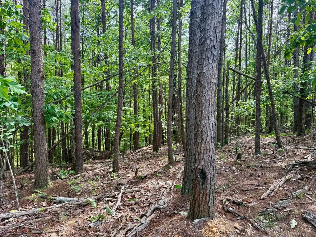 0 Miles Springs Road Pinson AL 35126
