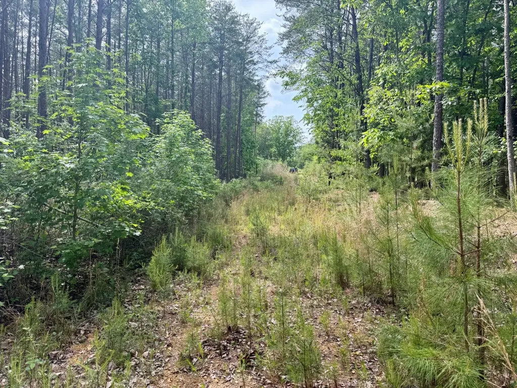 0 Miles Springs Road Pinson AL 35126