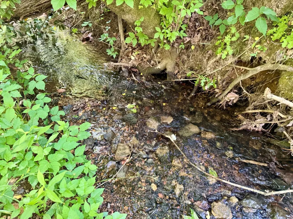 0 Miles Springs Road Pinson AL 35126