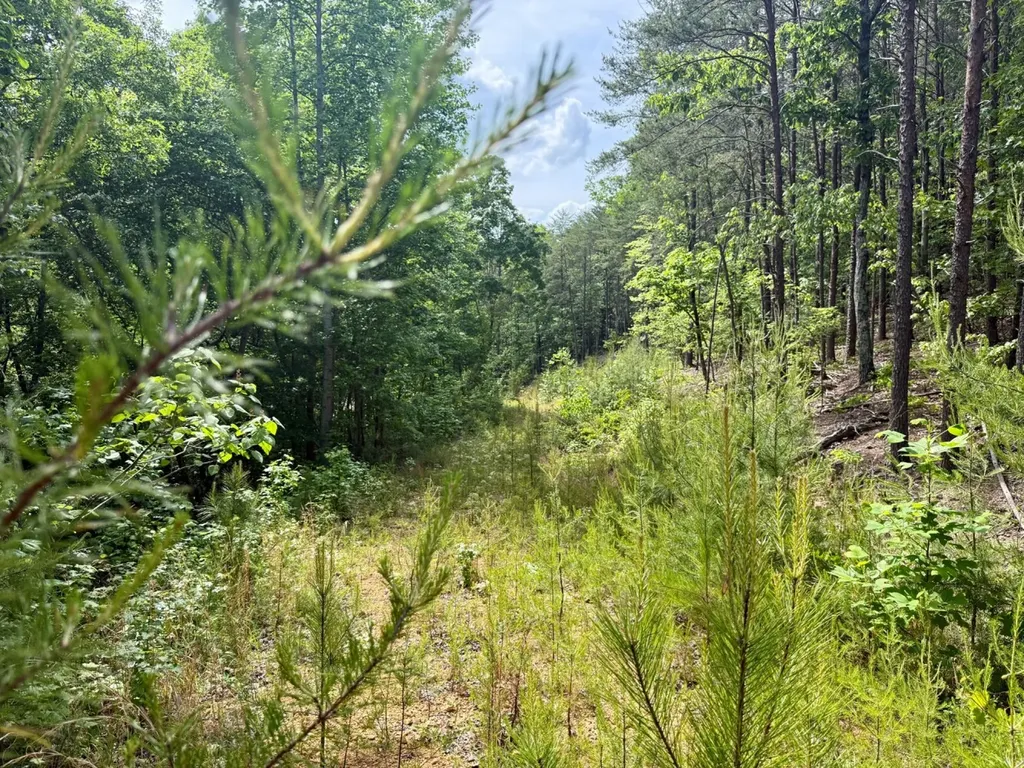 0 Miles Springs Road Pinson AL 35126