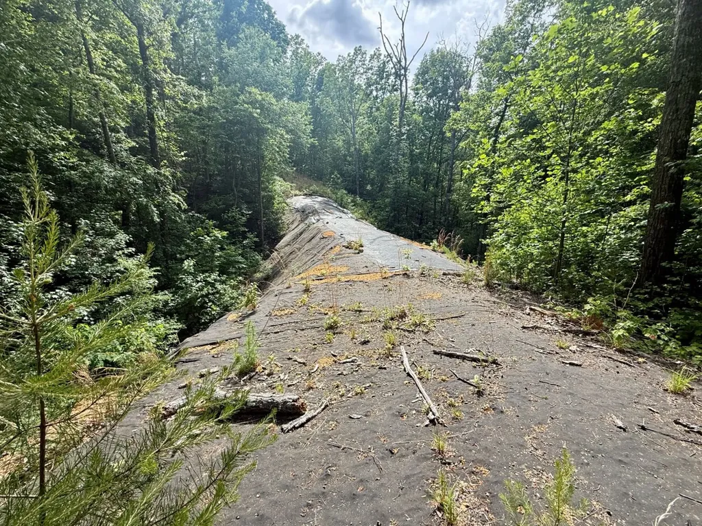 0 Miles Springs Road Pinson AL 35126