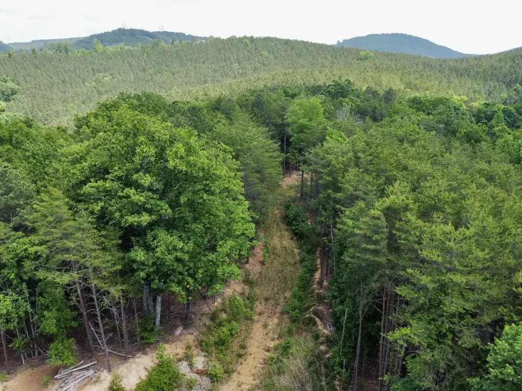 0 Miles Springs Road Pinson AL 35126