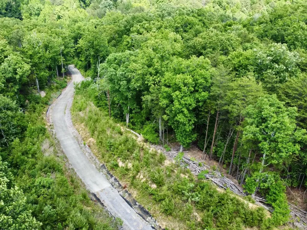 0 Miles Springs Road Pinson AL 35126