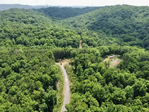 0 Miles Springs Road Pinson AL 35126