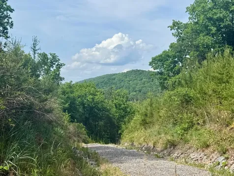 0 Miles Springs Road Pinson AL 35126