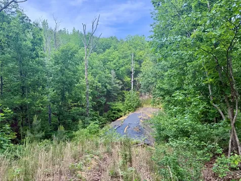 0 Miles Springs Road Pinson AL 35126
