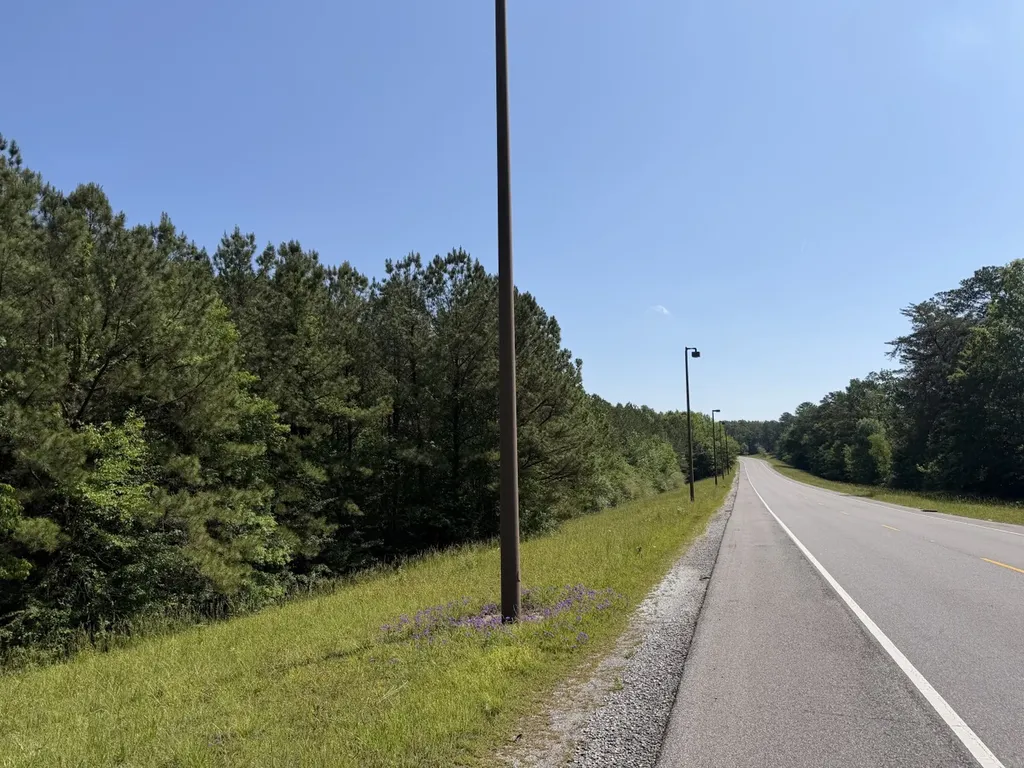 0 Will Walker Road Vance AL 35409