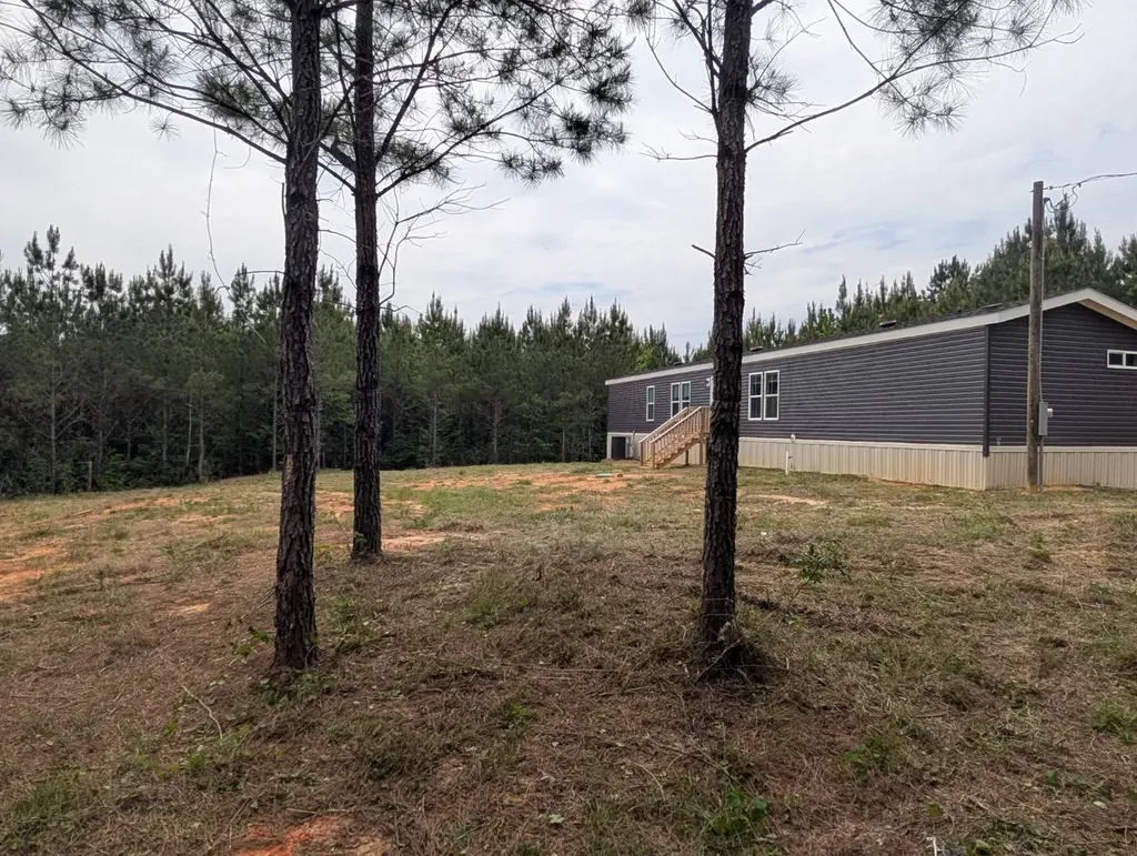 1101 Nixon Road Georgiana AL 36033