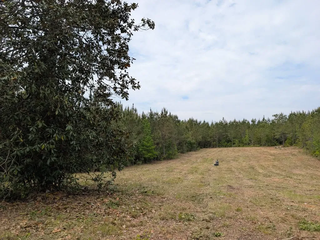 1101 Nixon Road Georgiana AL 36033