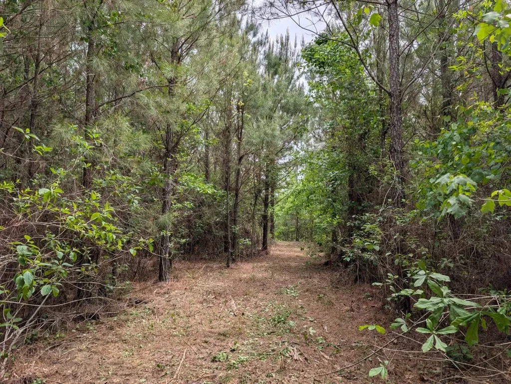 1101 Nixon Road Georgiana AL 36033