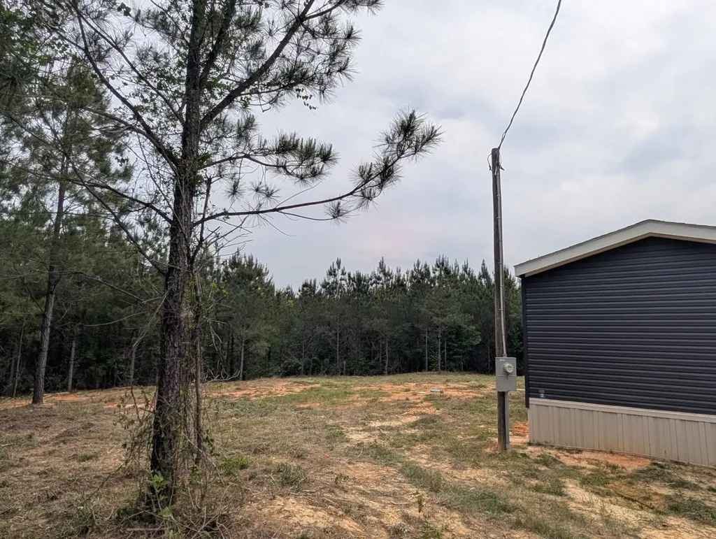 1101 Nixon Road Georgiana AL 36033