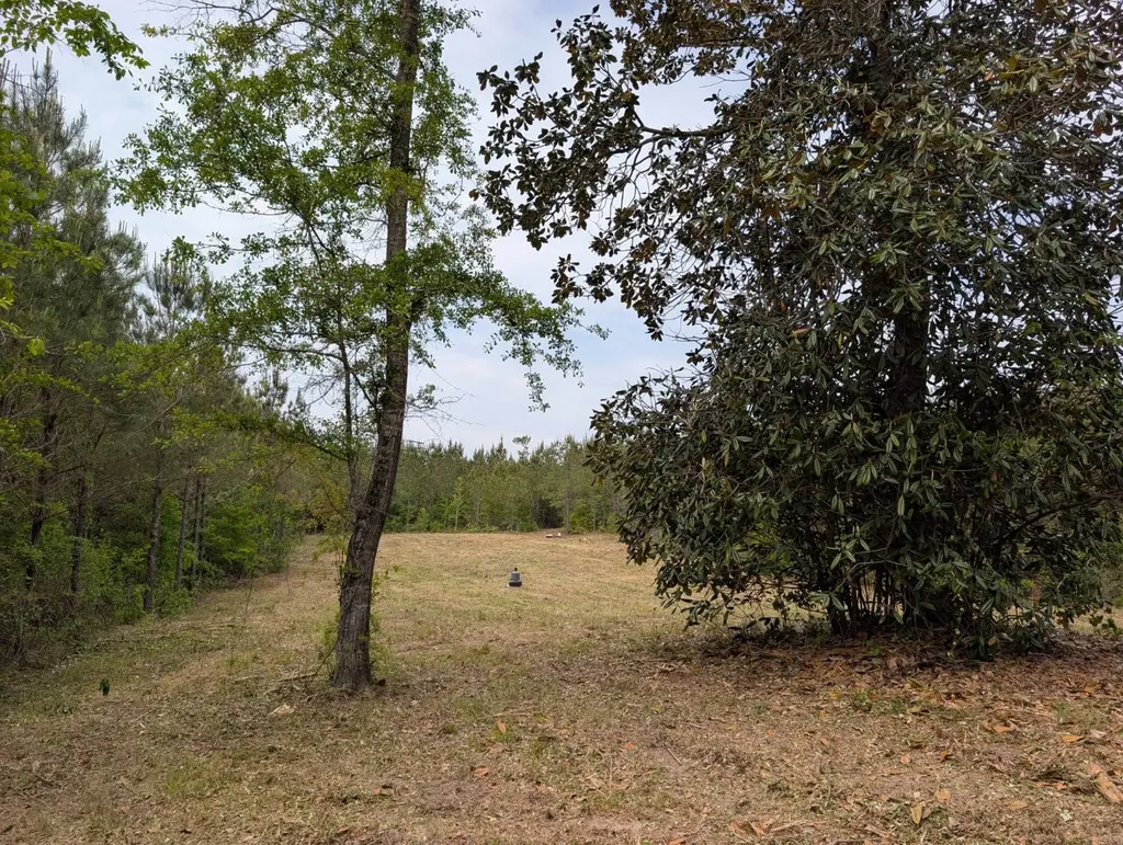 1101 Nixon Road Georgiana AL 36033