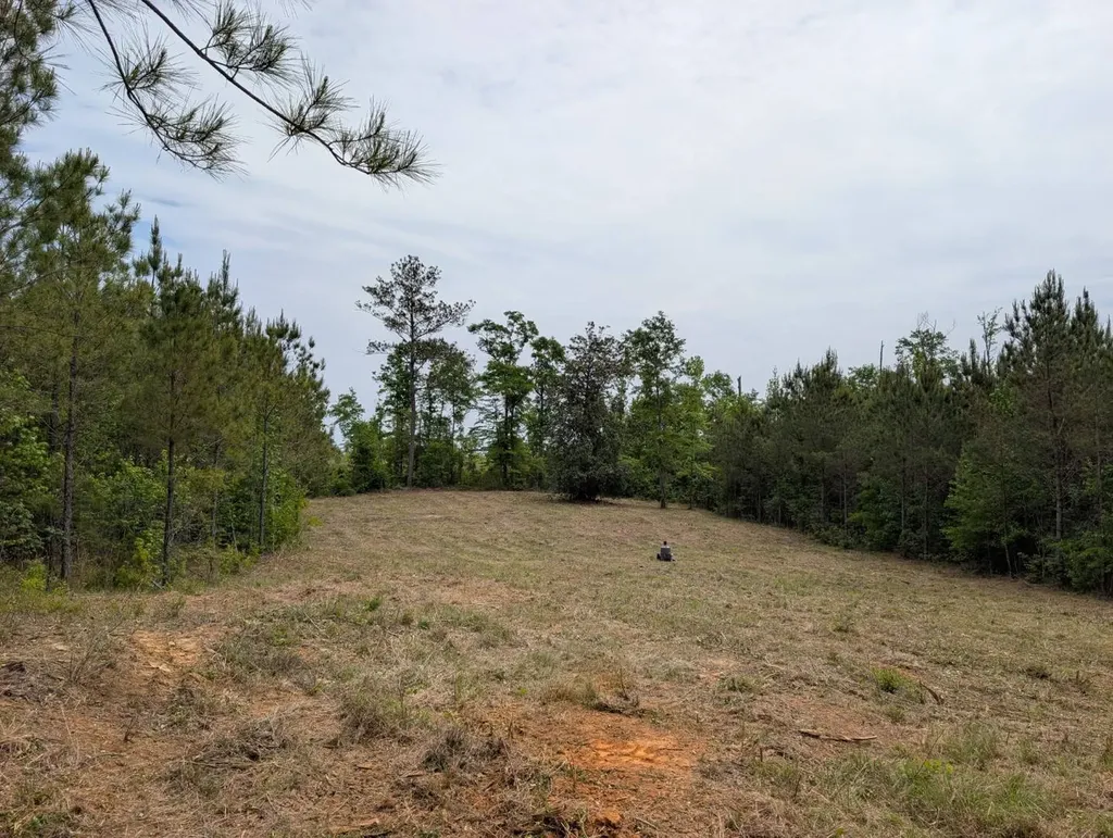 1101 Nixon Road Georgiana AL 36033