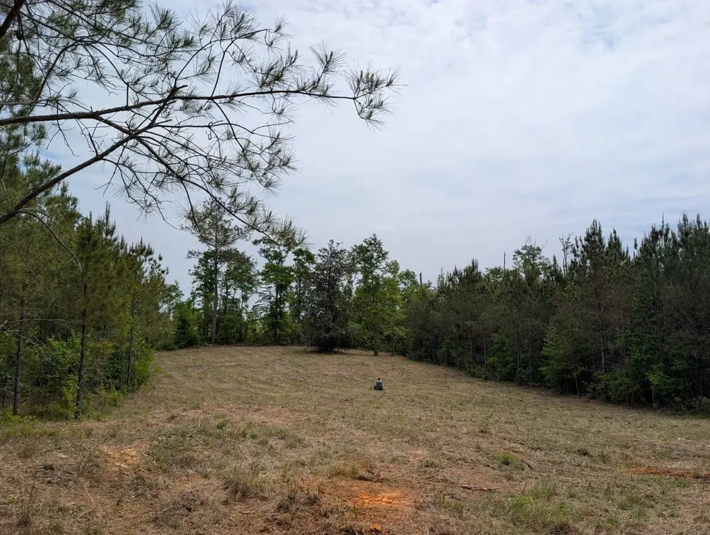 1101 Nixon Road Georgiana AL 36033