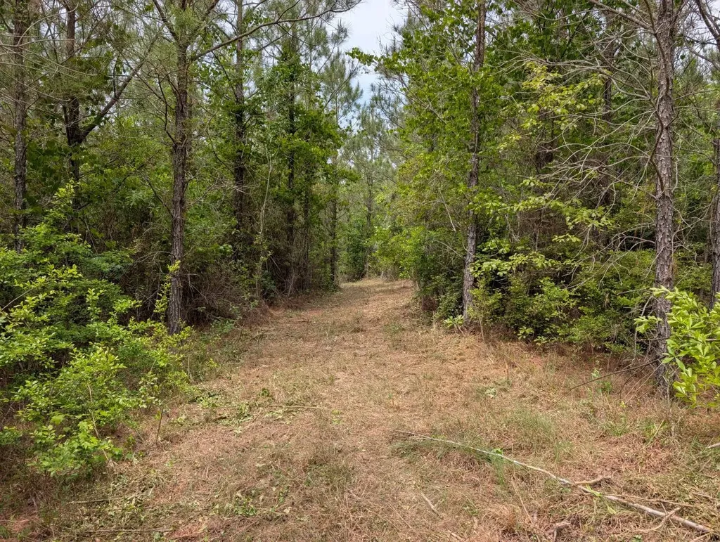 1101 Nixon Road Georgiana AL 36033