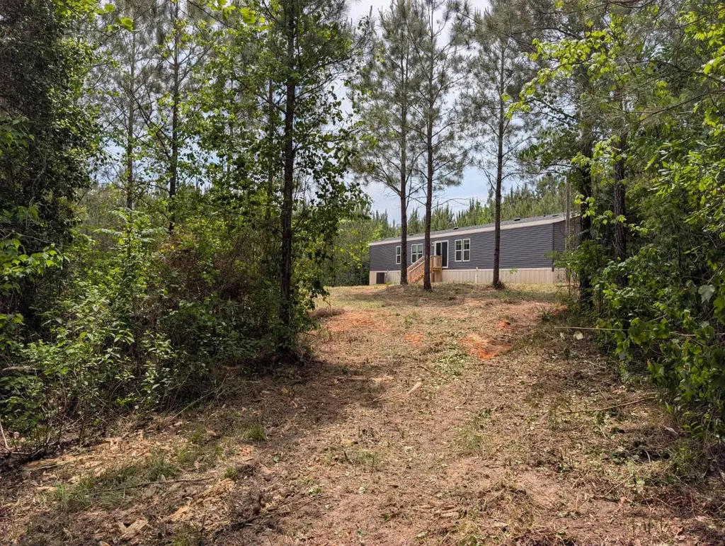 1101 Nixon Road Georgiana AL 36033