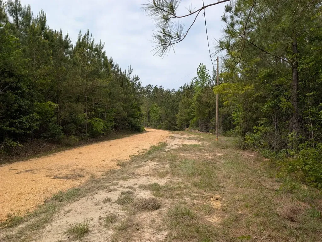 1101 Nixon Road Georgiana AL 36033