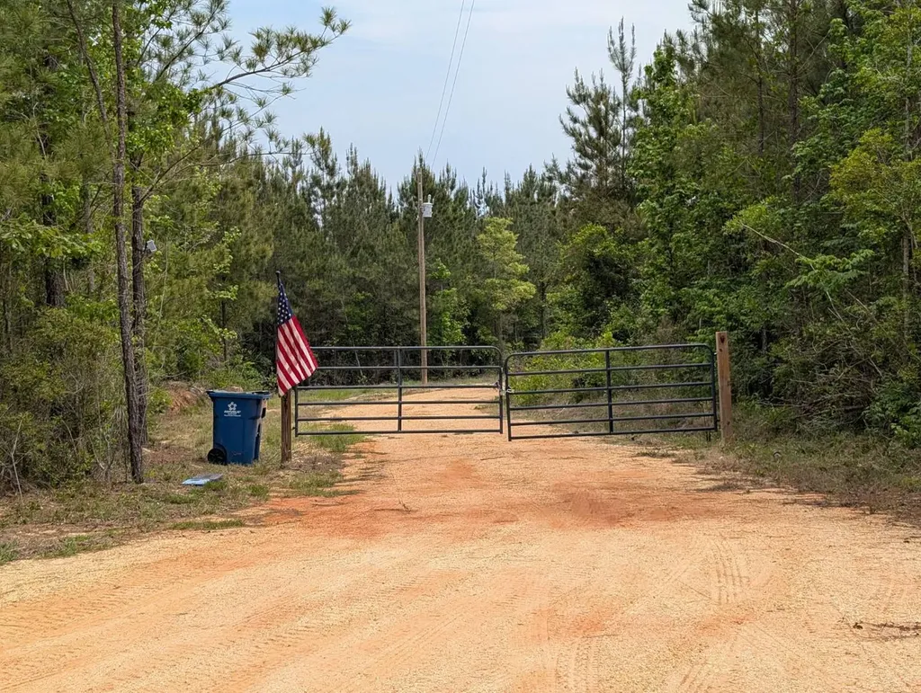 1101 Nixon Road Georgiana AL 36033