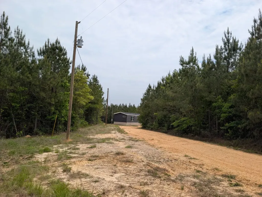 1101 Nixon Road Georgiana AL 36033