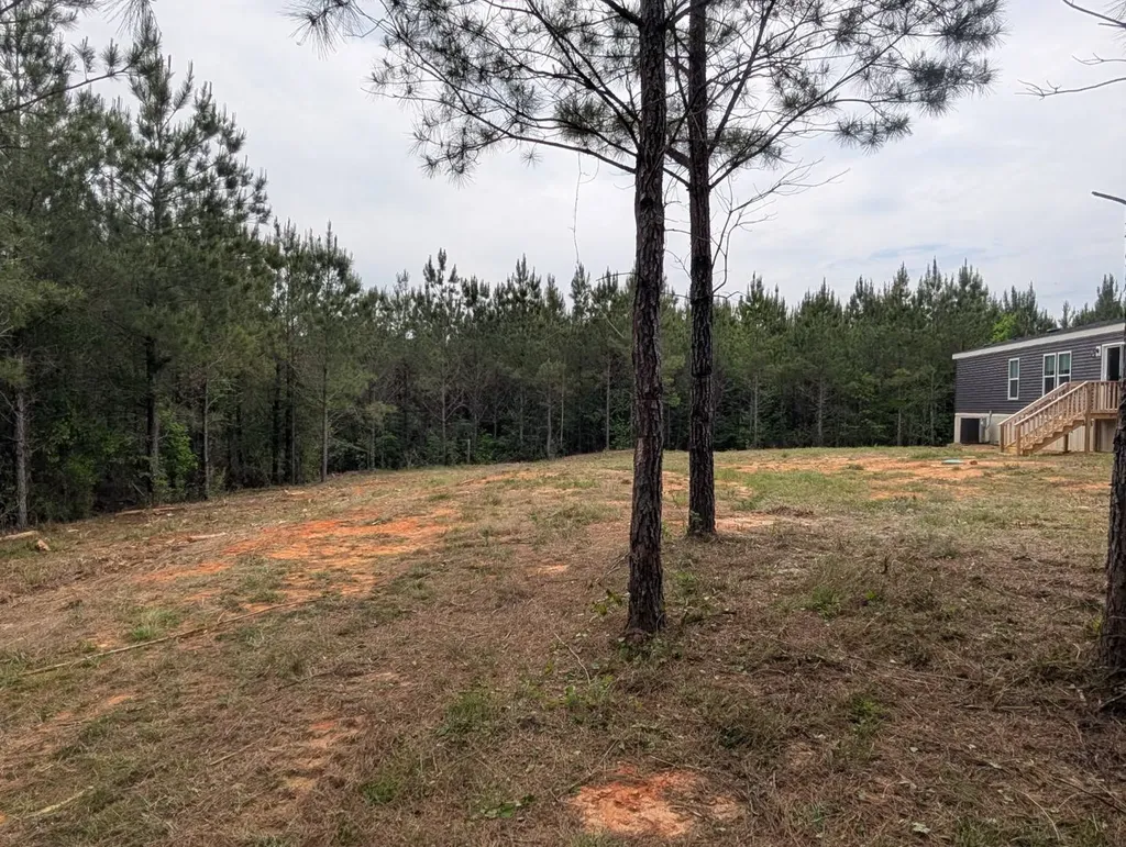 1101 Nixon Road Georgiana AL 36033