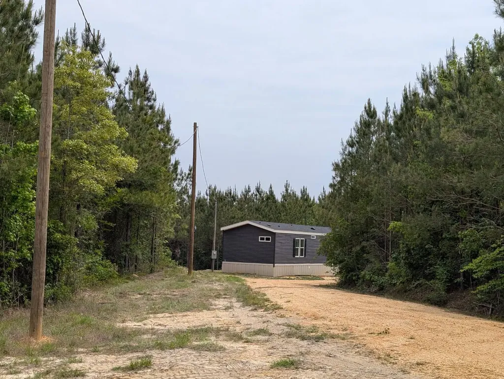 1101 Nixon Road Georgiana AL 36033
